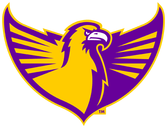 Tennessee Tech Golden Eagles 2006-Pres Alternate Logo v7 diy fabric transfers